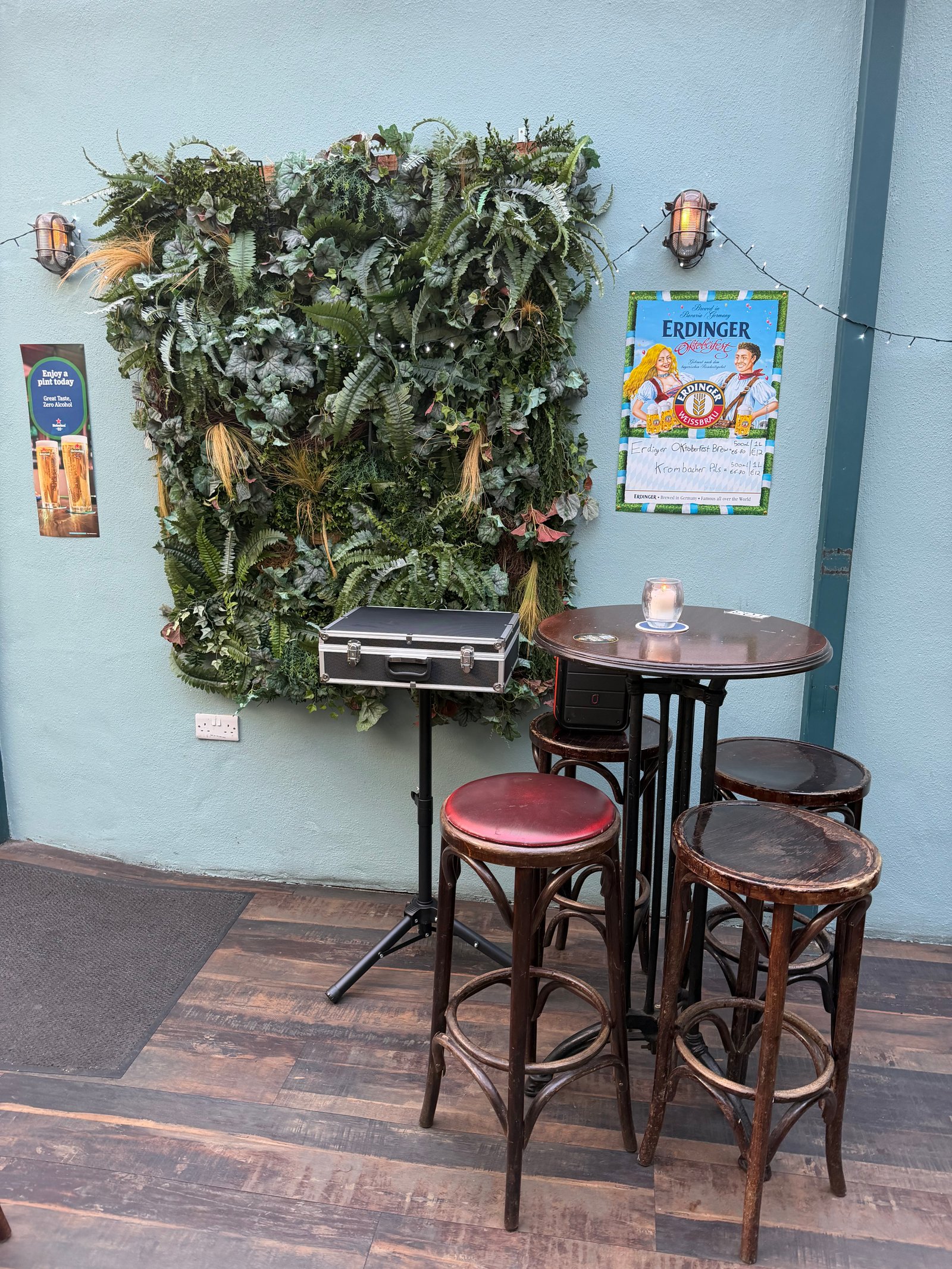 Seating and the fern wall at Sober Lane in Cork city